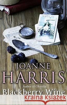 Blackberry Wine: from Joanne Harris, the bestselling author of Chocolat, comes a tantalising, sensuous and magical novel which takes us back to the charming French village of Lansquenet Joanne Harris 9780552998000