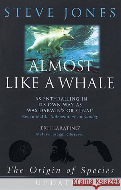 Almost Like A Whale: The Origin Of Species Updated Steve Jones 9780552999588 0