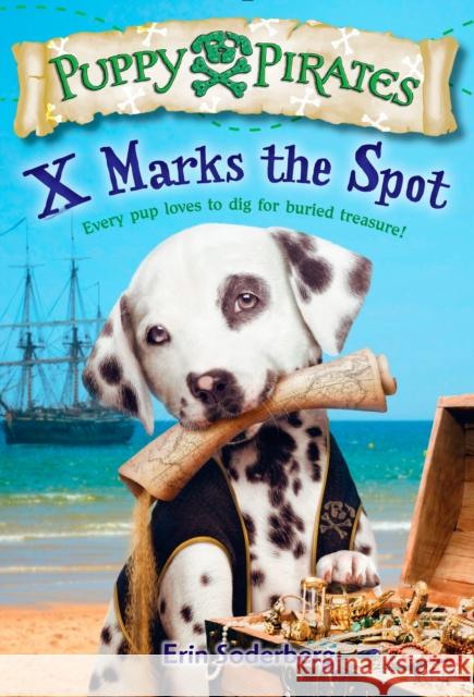 X Marks the Spot Robin Wasserman Erin Soderber 9780553511703