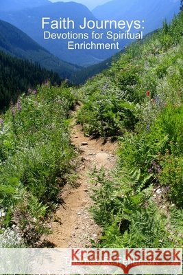 Faith Journeys: Devotions for Spiritual Enrichment Thomas R., Jr. Feller 9780557041268