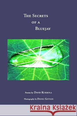 The Secrets of a Bluejay David Kukkola 9780557100194 Lulu.com