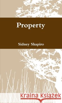 Property Sidney Shapiro 9780557105052