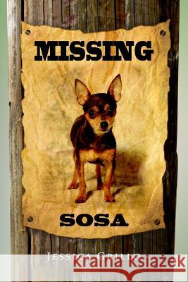Missing Sosa Jessica Grillo 9780557386253 Lulu.com