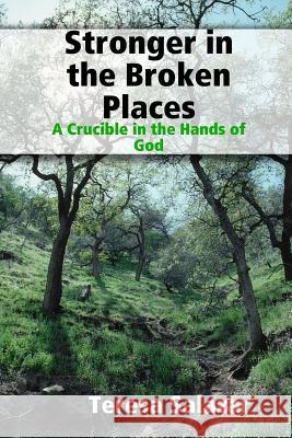 Stronger in the Broken Places Teresa Salazar 9780557562152 Lulu.com