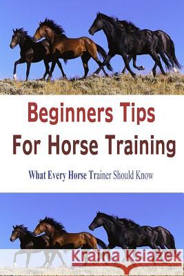 Beginners Tips for Horse Training Chillemi                                 Stacey Chillemi 9780557670864 Lulu.com