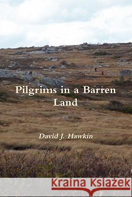 Pilgrims in a Barren Land David J Hawkin 9780557681600