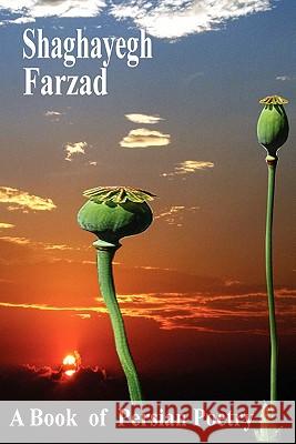 Shaghayegh Farzad Mim 9780557698356 Lulu.com