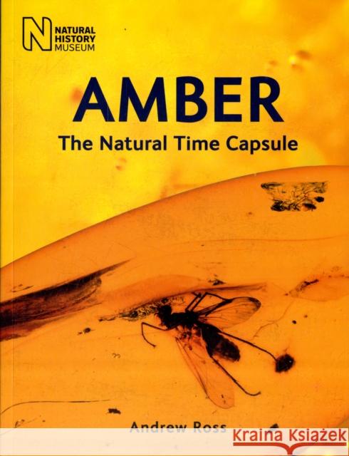 Amber: The Natural Time Capsule Andrew Ross 9780565092580