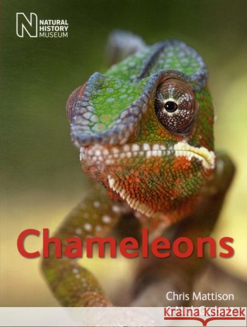 Chameleons Chris Mattison 9780565092900 The Natural History Museum