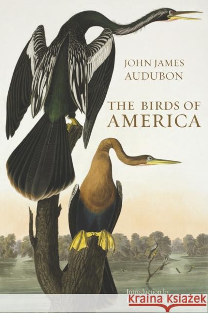 The Birds of America John James Audubon 9780565093396