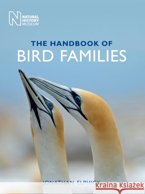 The Handbook of Bird Families Jonathan Elphick 9780565093785 The Natural History Museum