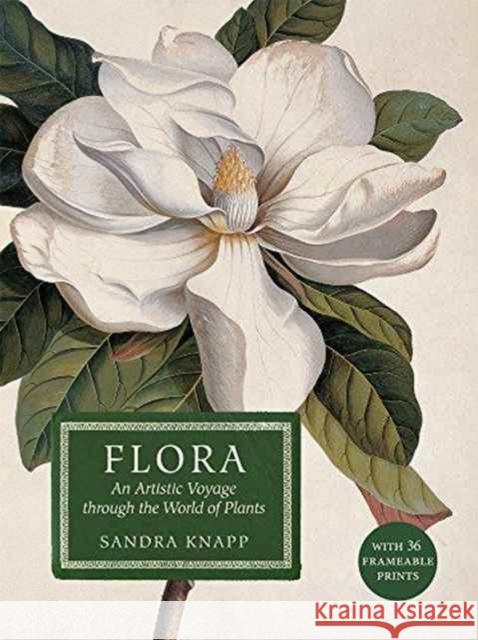 Flora: An Artistic Voyage Through the World of Plants Knapp, Sandra 9780565093983