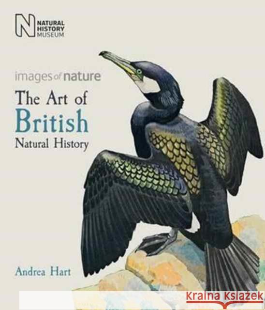 The Art of British Natural History: Images of Nature Andrea Hart 9780565094232 The Natural History Museum