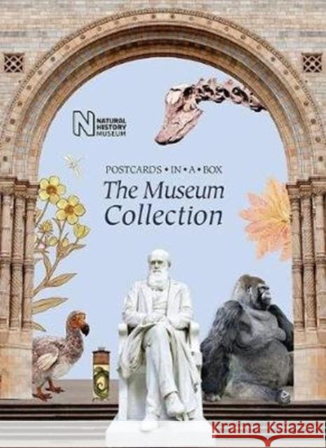 The Museum Collection: Postcards in a Box  9780565094362 The Natural History Museum