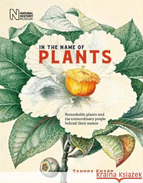In the Name of Plants: Remarkable plants and the extraordinary people behind their names Sandra Knapp 9780565095352 The Natural History Museum