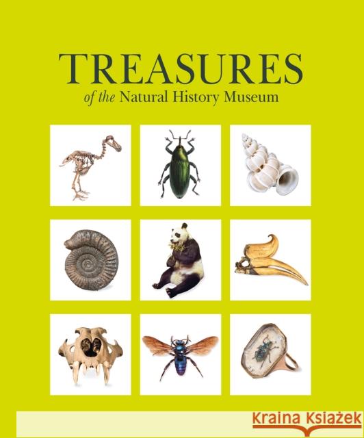 Treasures of the Natural History Museum: (Pocket edition) Natural History Museum 9780565095482