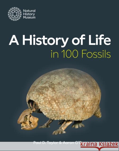 A History of Life in 100 Fossils Aaron O'Dea 9780565095499 The Natural History Museum