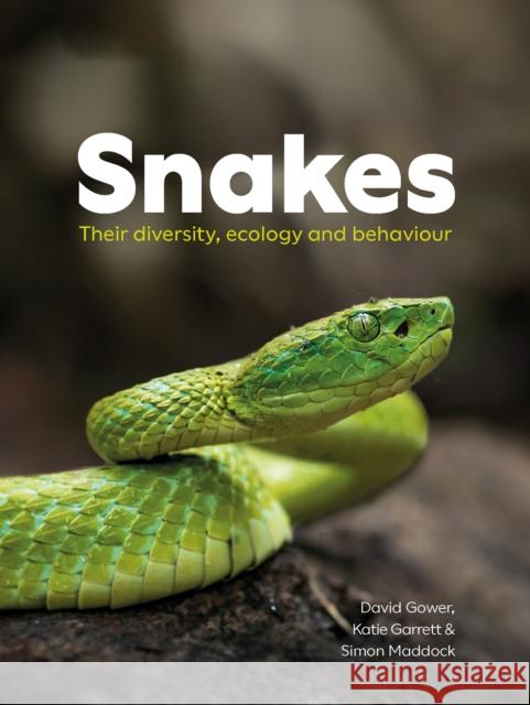 Snakes: Their diversity, ecology and behaviour  9780565095505 The Natural History Museum