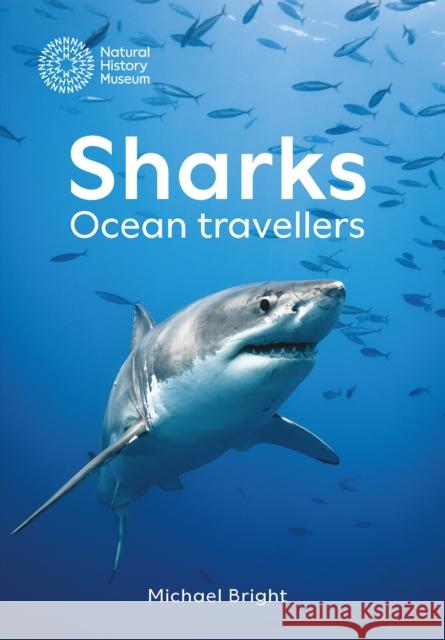 Sharks: Ocean Travellers Michael Bright 9780565095543 The Natural History Museum