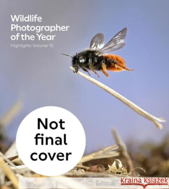 Wildlife Photographer of the Year: Highlights Volume 10: Volume 10 Keith Wilson 9780565095659