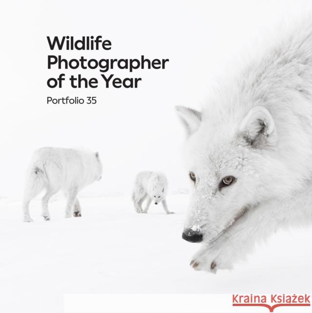 Wildlife Photographer of the Year: Portfolio 35  9780565095727 Natural History Museum