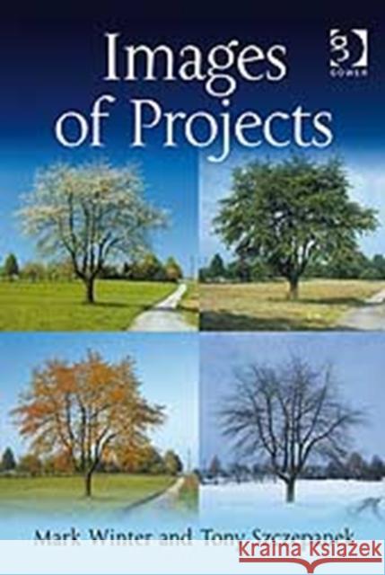 Images of Projects Mark Winter Tony Szczepanek 9780566087165 GOWER PUBLISHING LTD