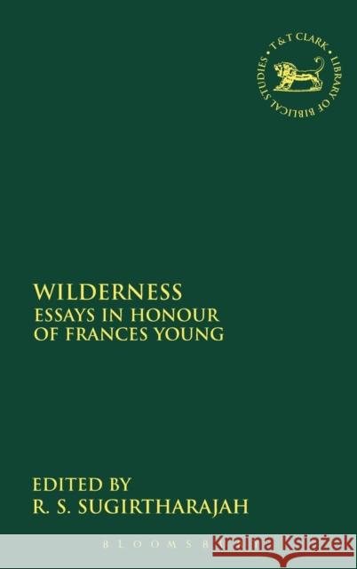 Wilderness: Essays in Honour of Frances Young Professor R. S. Sugirtharajah (University of Birmingham, UK) 9780567041425 Bloomsbury Publishing PLC