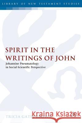 Spirit in the Writings of John: Johannine Pneumatology in Social-Scientific Perspective Gates Brown, Tricia 9780567084422 T. & T. Clark Publishers
