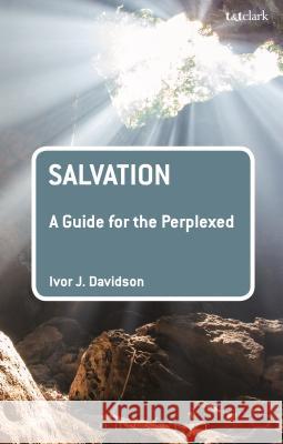 Salvation: A Guide for the Perplexed Ivor J., Professor Davidson 9780567118592