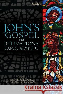 John's Gospel and Intimations of Apocalyptic Catrin H Williams 9780567119100