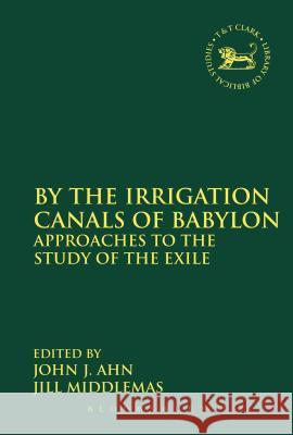 By the Irrigation Canals of Babylon: Approaches to the Study of the Exile Ahn, John J. 9780567202468 T & T Clark International