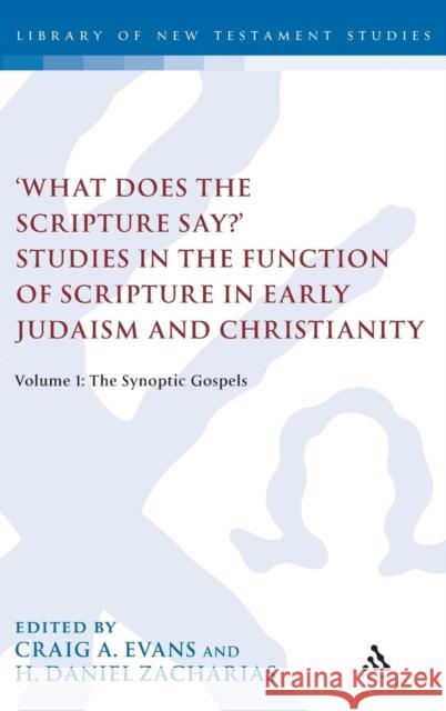 'What Does the Scripture Say?' Studies in the Function of Scripture in Early Judaism and Christianity, Volume 1: Volume 1: The Synoptic Gospels Evans, Craig A. 9780567383501 T&t Clark Int'l