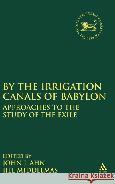 By the Irrigation Canals of Babylon: Approaches to the Study of the Exile Ahn, John J. 9780567528940 T & T Clark International