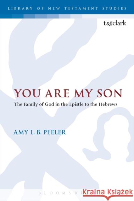 You Are My Son: The Family of God in the Epistle to the Hebrews Peeler, Amy L. B. 9780567665010 T & T Clark International
