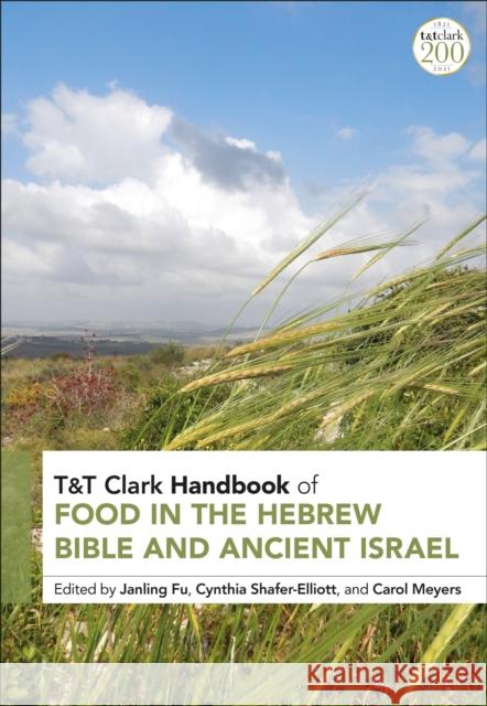 T&t Clark Handbook of Food in the Hebrew Bible and Ancient Israel Janling Fu Carol L. Meyers Cynthia Shafer-Elliott 9780567679796 T&T Clark