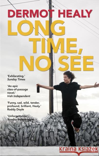 Long Time, No See Dermot Healy 9780571210794