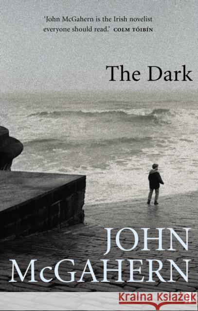 The Dark J Mcgahern 9780571225675 Faber & Faber