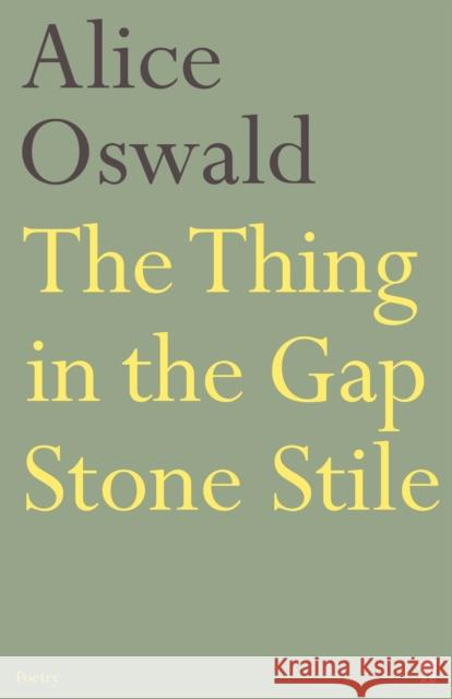 The Thing in the Gap Stone Stile Alice Oswald 9780571236947