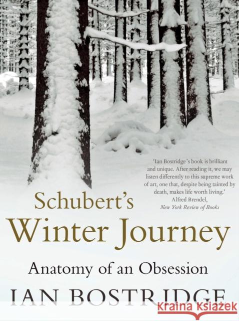 Schubert's Winter Journey: Anatomy of an Obsession Ian Bostridge 9780571282814 FABER & FABER