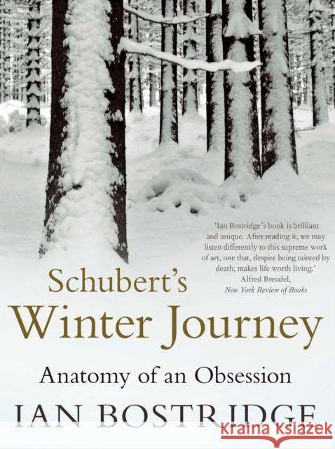 Schubert's Winter Journey: Anatomy of an Obsession Ian Bostridge 9780571282814