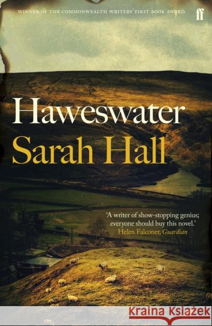 Haweswater: 'A writer of show-stopping genius.' GUARDIAN Sarah (Author) Hall 9780571315604