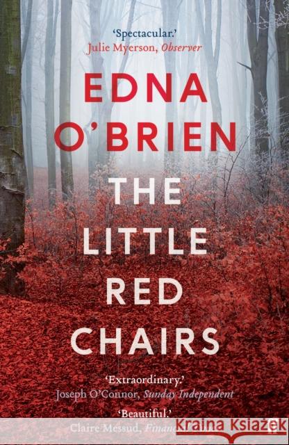 The Little Red Chairs Edna OBrien 9780571316311