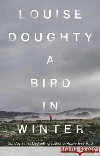 A Bird in Winter: 'Nail-bitingly tense and compelling' Paula Hawkins  9780571322176 Faber & Faber