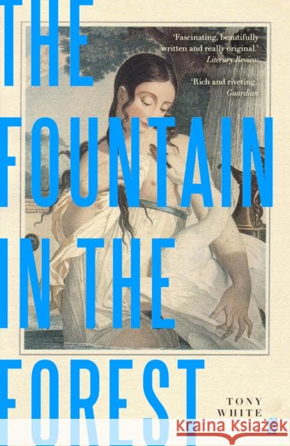 The Fountain in the Forest Tony White 9780571336197 Faber & Faber