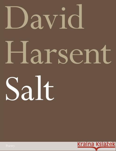 Salt David Harsent 9780571337866