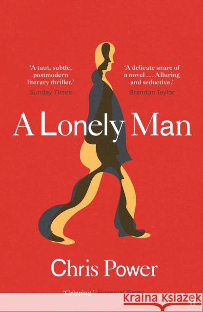 A Lonely Man Chris Power 9780571341221 Faber & Faber