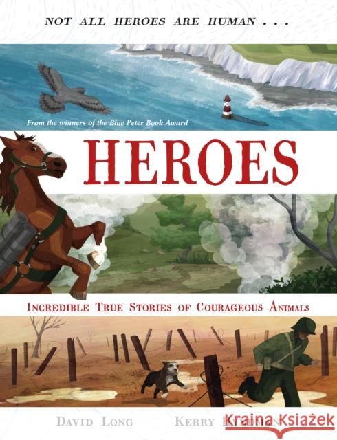 Heroes: Incredible true stories of courageous animals Long, David 9780571346295