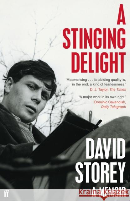 A Stinging Delight: A Memoir David Storey 9780571360321