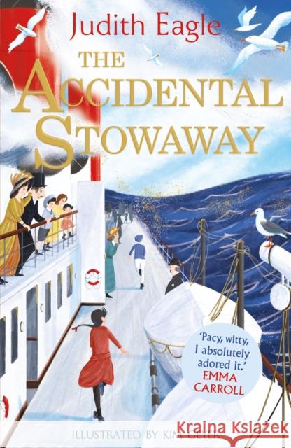 The Accidental Stowaway: 'A rollicking, salty, breath of fresh air.’  Hilary McKay Judith Eagle 9780571363124 Faber & Faber