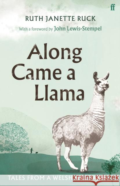 Along Came a Llama Ruth Janette Ruck 9780571363193 Faber & Faber